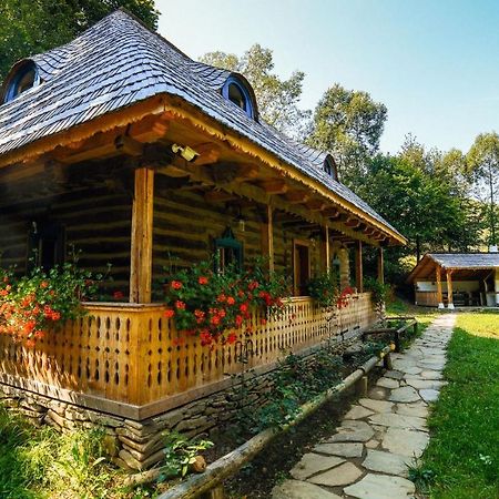 فيلا Casa Lu' Ion Vişeu de Sus المظهر الخارجي الصورة