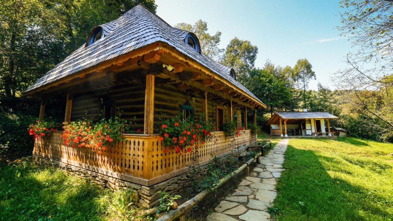 فيلا Casa Lu' Ion Vişeu de Sus المظهر الخارجي الصورة