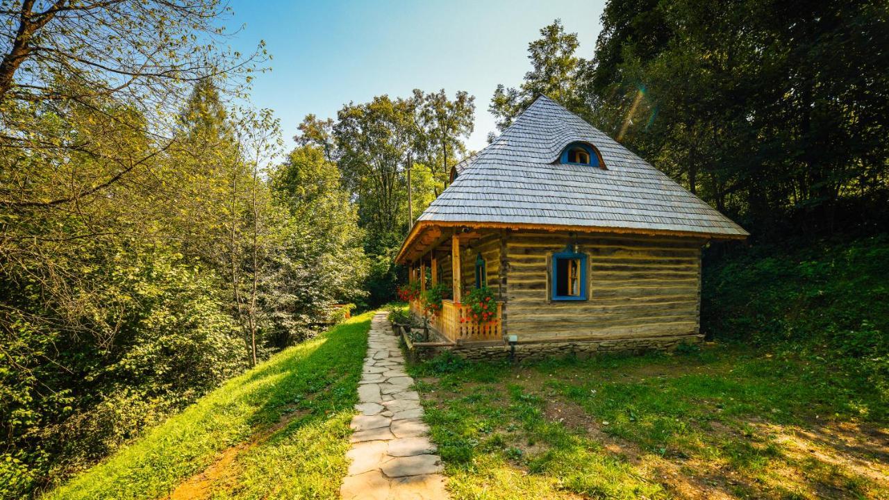 فيلا Casa Lu' Ion Vişeu de Sus المظهر الخارجي الصورة