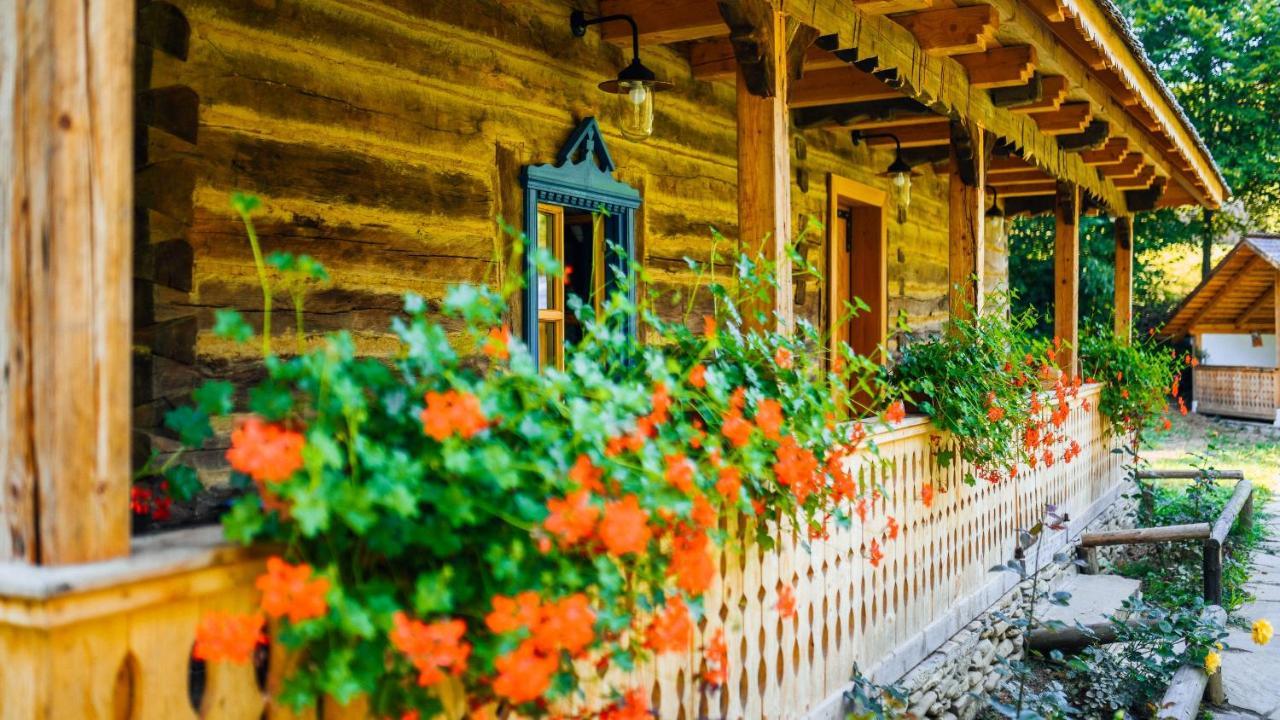 فيلا Casa Lu' Ion Vişeu de Sus المظهر الخارجي الصورة