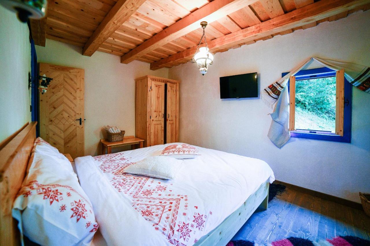 فيلا Casa Lu' Ion Vişeu de Sus المظهر الخارجي الصورة