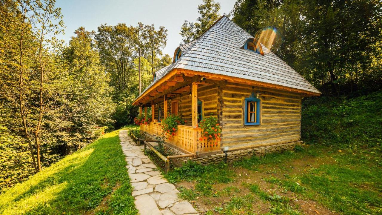فيلا Casa Lu' Ion Vişeu de Sus المظهر الخارجي الصورة