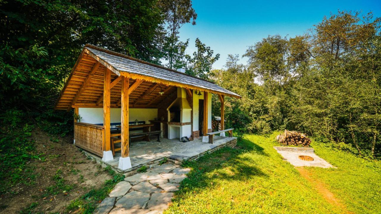 فيلا Casa Lu' Ion Vişeu de Sus المظهر الخارجي الصورة