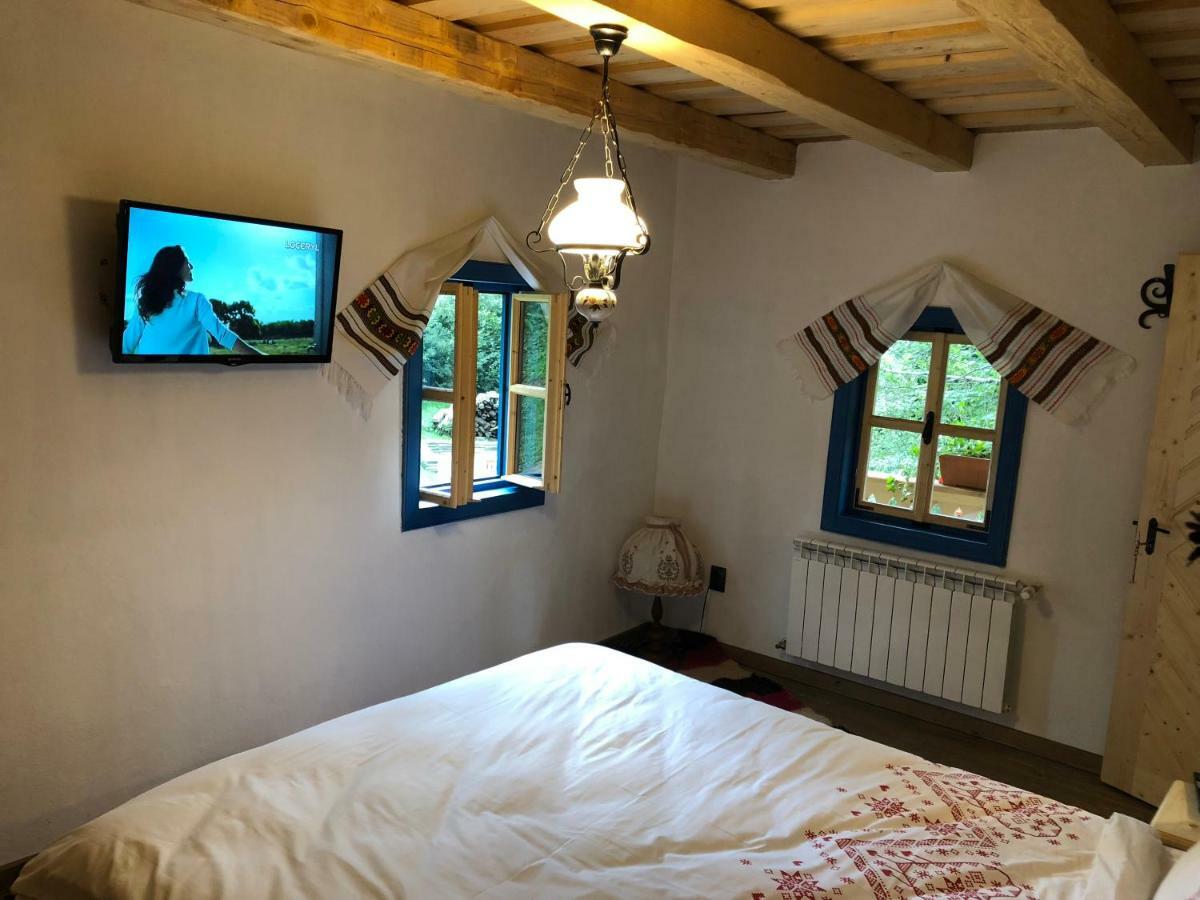 فيلا Casa Lu' Ion Vişeu de Sus المظهر الخارجي الصورة